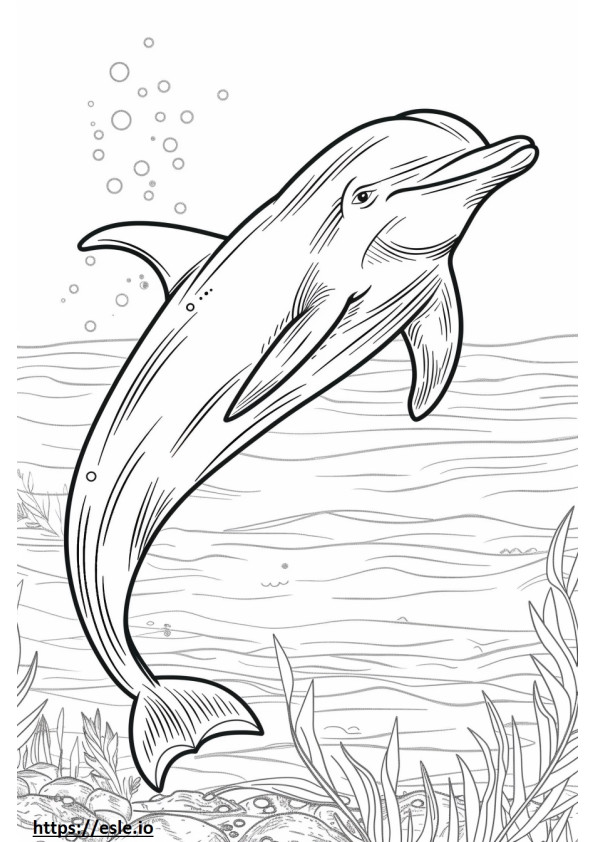 Delfino del Rio delle Amazzoni (delfino rosa) carino da colorare