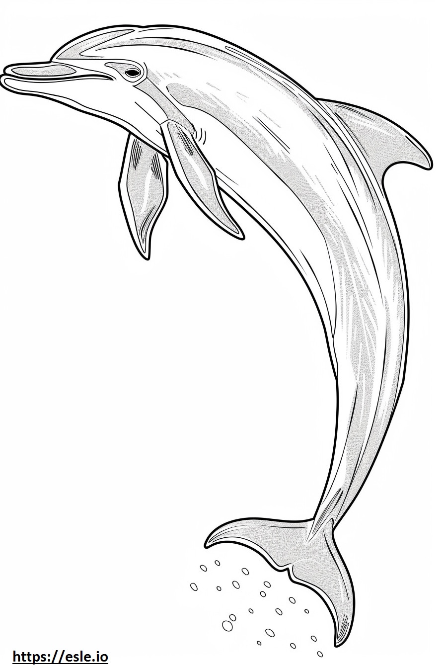 Amazon River Dolphin (Pink Dolphin) cute coloring page