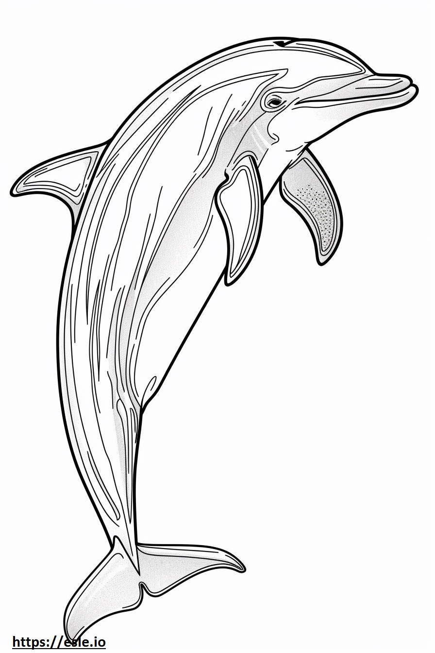 Delfin Amazonki (Różowy Delfin) uroczy kolorowanka