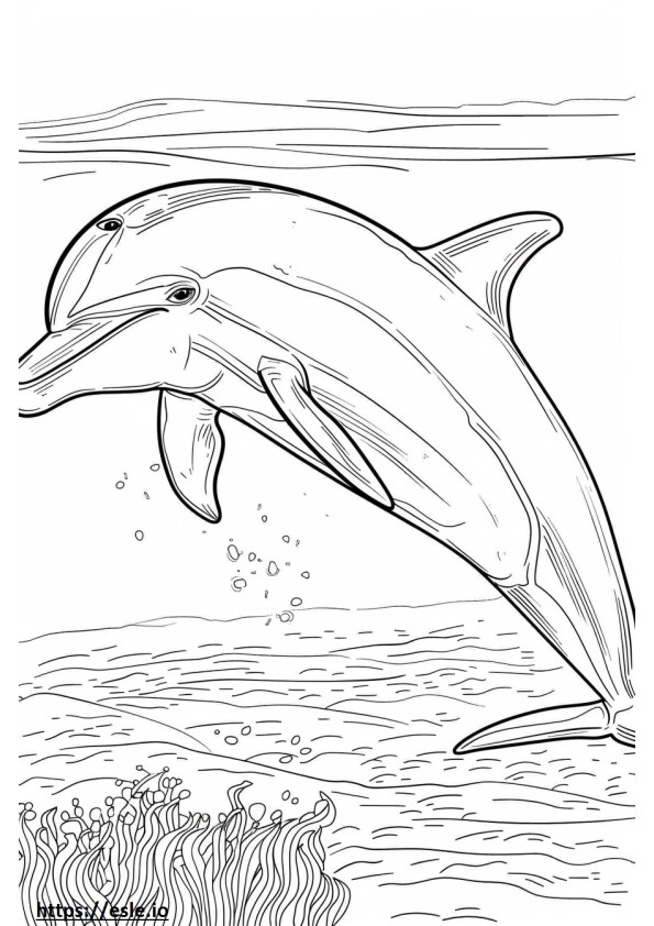 Delfin Amazonki (Różowy Delfin) szczęśliwy kolorowanka