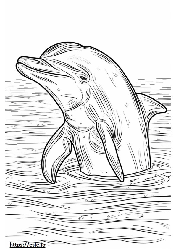 Lumba-lumba Sungai Amazon (Lumba-lumba Merah Muda) Sedang Tidur gambar mewarnai