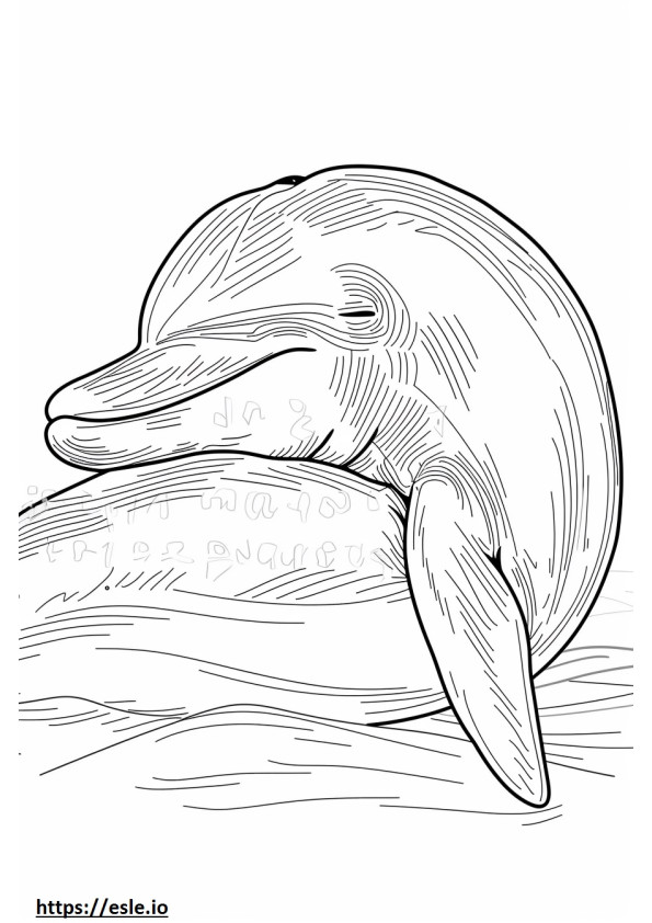 アマゾンカワイルカ（ピンクイルカ）の睡眠 ぬりえ - 塗り絵