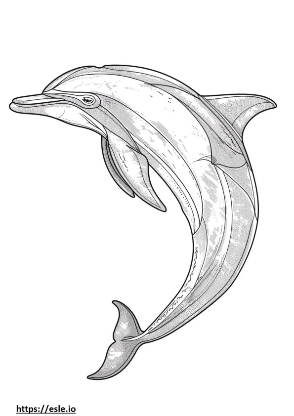 Spielender Amazonas-Flussdelfin (Rosa Delfin). ausmalbild