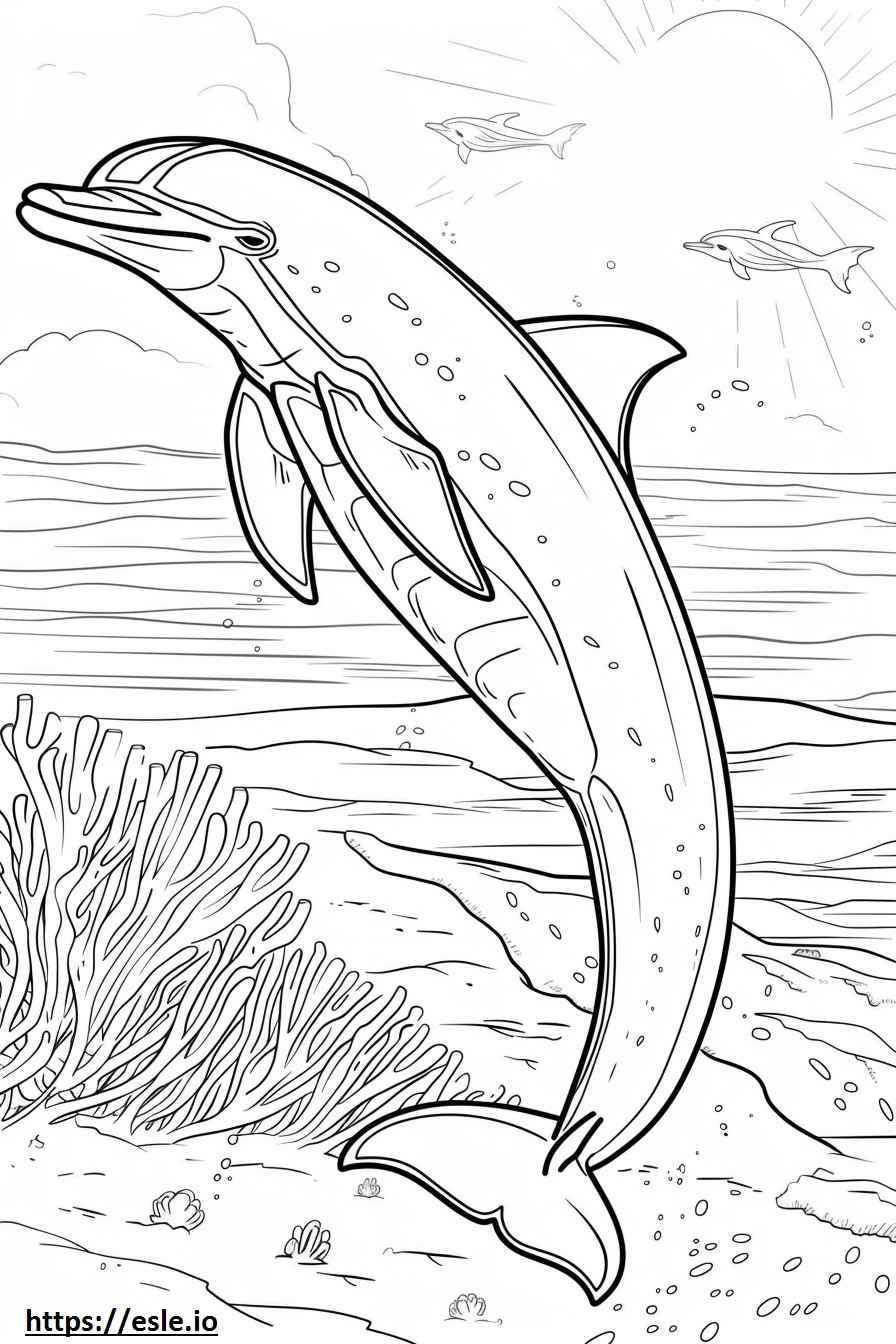 Spielender Amazonas-Flussdelfin (Rosa Delfin). ausmalbild