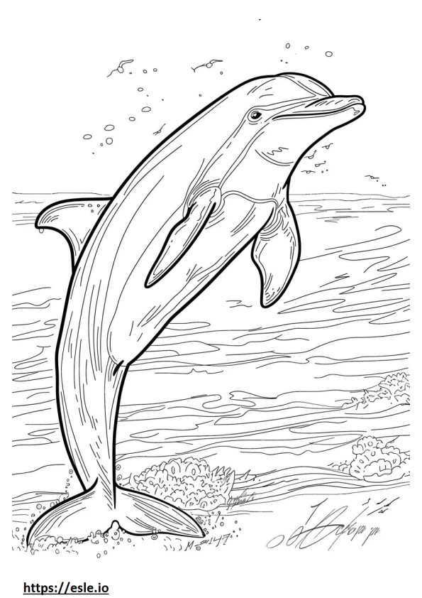 Delfino del Rio delle Amazzoni (delfino rosa) Kawaii da colorare