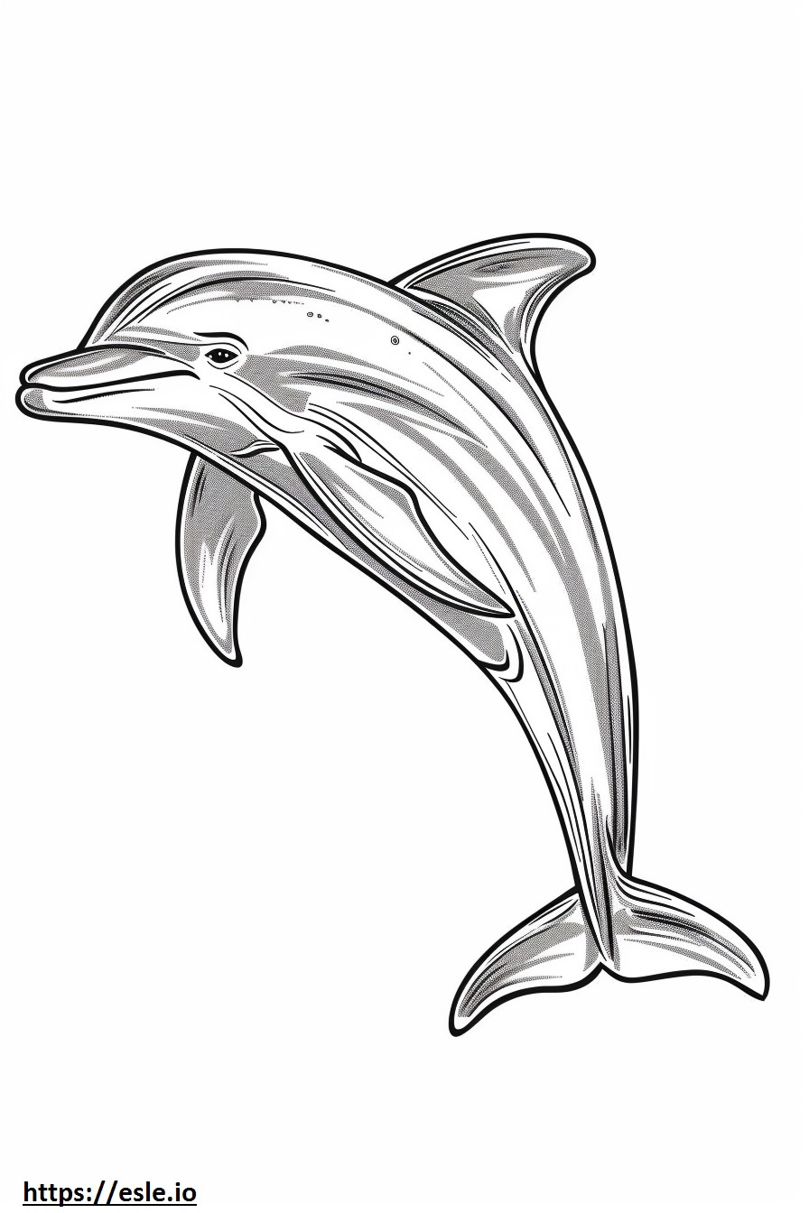 Amazon River Dolphin (Pink Dolphin) Kawaii coloring page
