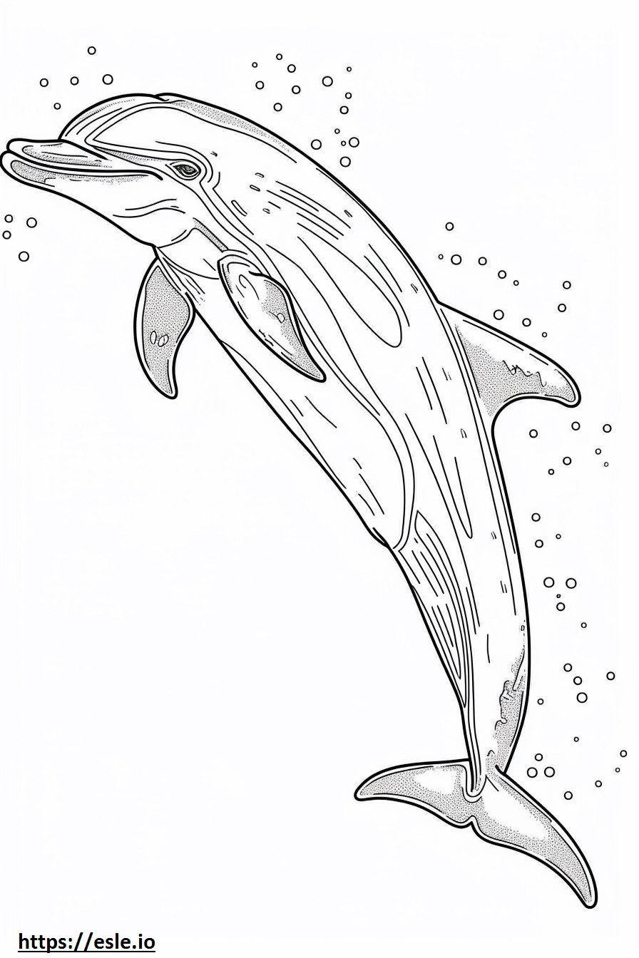 Amazon River Dolphin (Pink Dolphin) Kawaii szinező