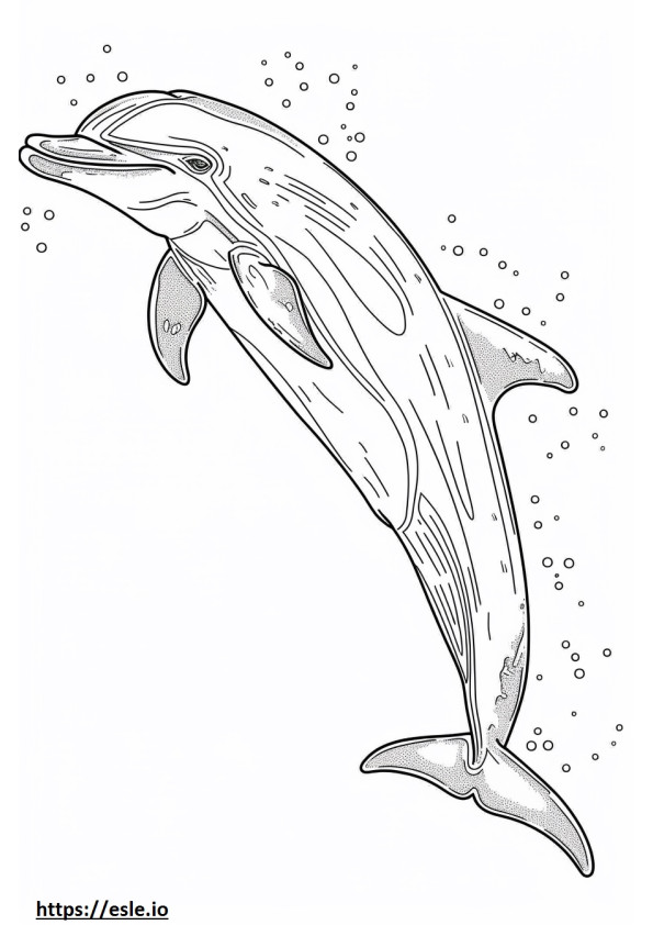 Lumba-lumba Sungai Amazon (Lumba-lumba Merah Muda) Kawaii gambar mewarnai