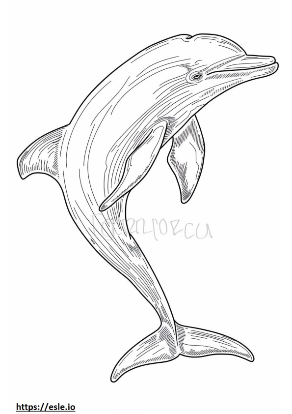 Amazon River Dolphin (Pink Dolphin) Kawaii coloring page