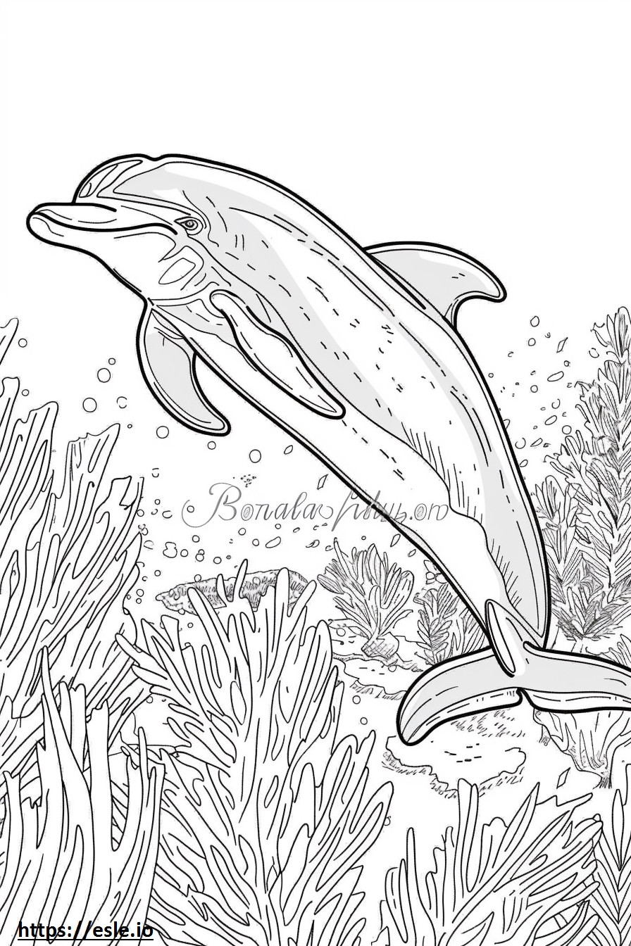 Amigável para golfinhos do rio Amazonas (golfinhos rosa) para colorir