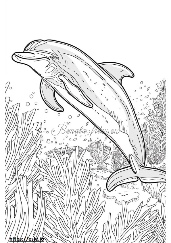 Amazon River Dolphin (Pink Dolphin) Friendly coloring page