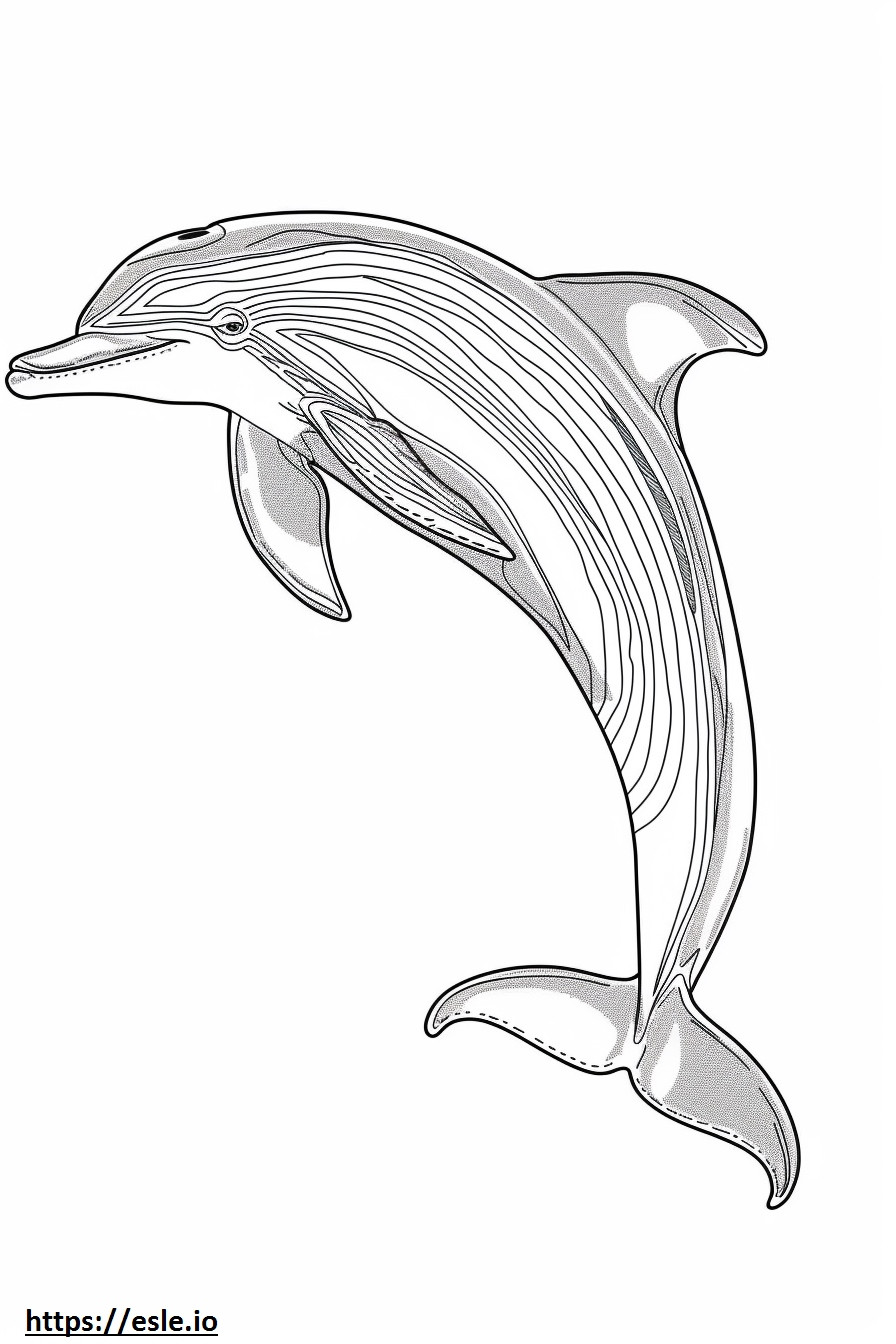 Przyjazny dla delfinów amazońskich (różowych delfinów). kolorowanka