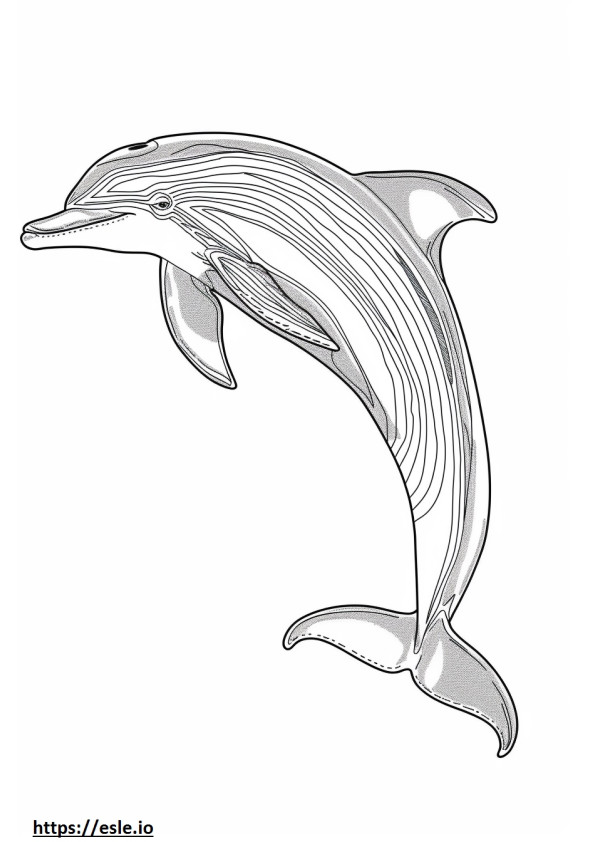 Coloriage Dauphin du fleuve Amazone (dauphin rose) amical à imprimer