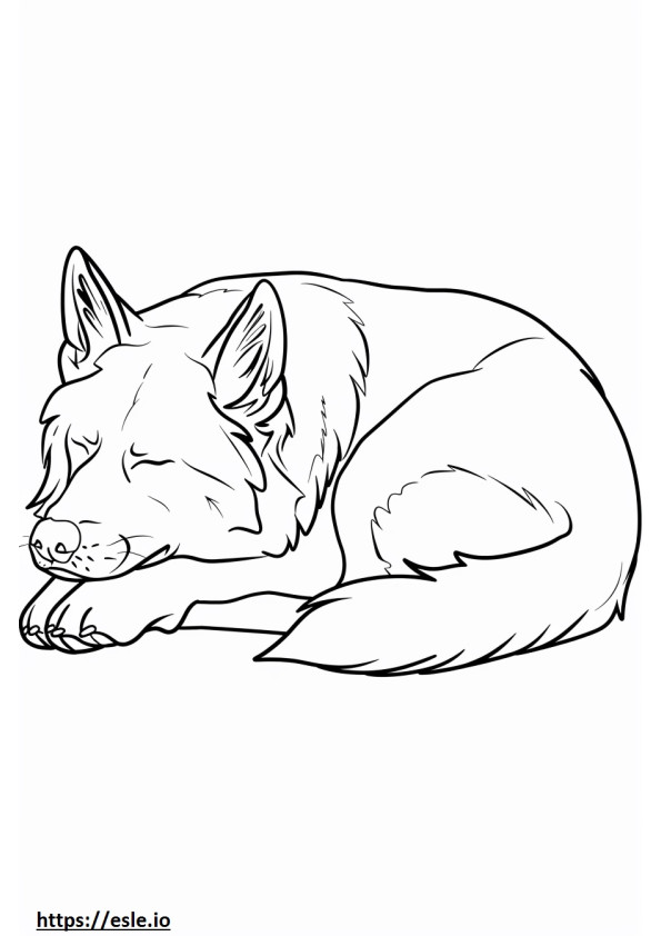 Schlafender amerikanischer Schäferhund ausmalbild
