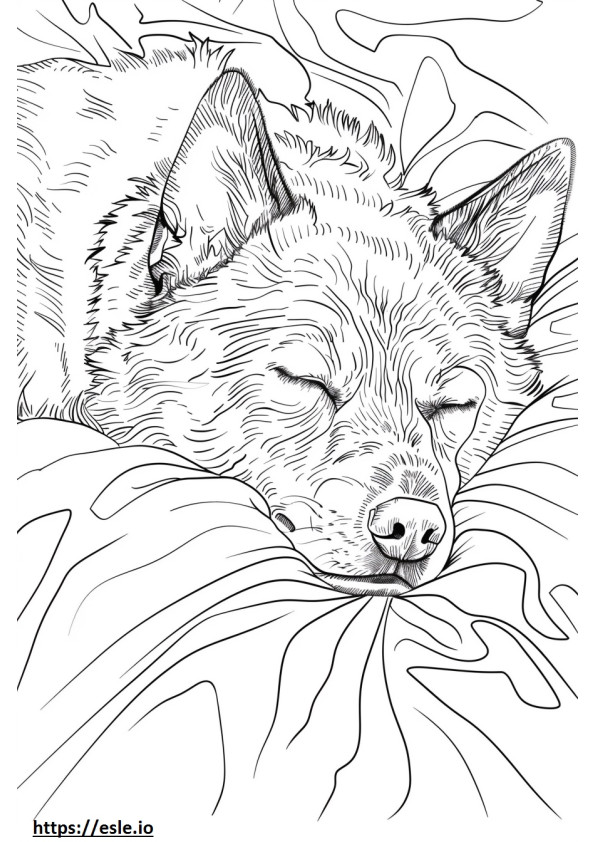 Schlafender amerikanischer Schäferhund ausmalbild