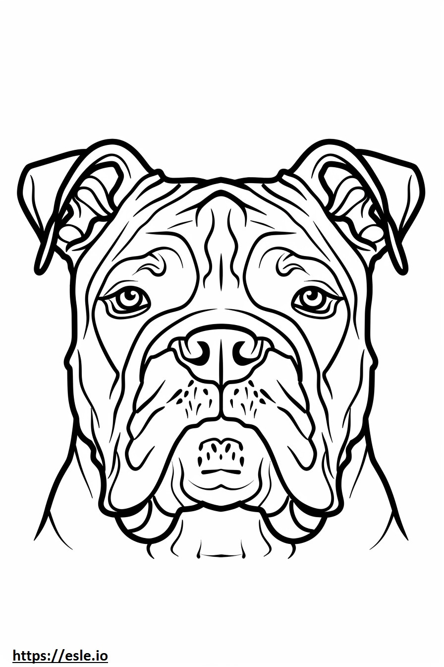 Gezicht van de Amerikaanse Bulldog kleurplaat kleurplaat