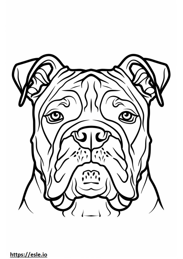 Cara de bulldog americano para colorear e imprimir