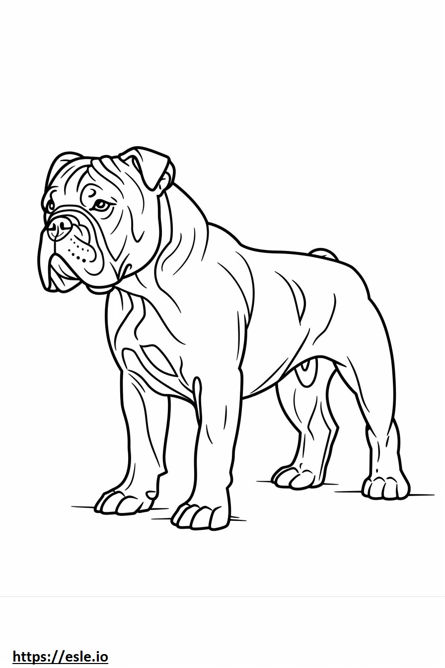 Bulldog americano de cuerpo completo para colorear e imprimir