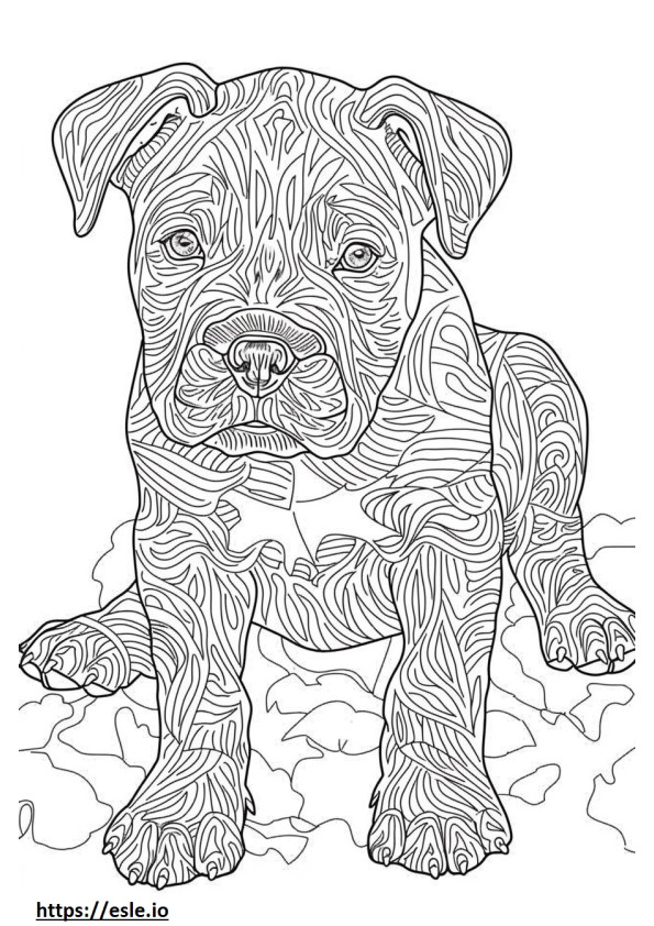 Bebé bulldog americano para colorear e imprimir