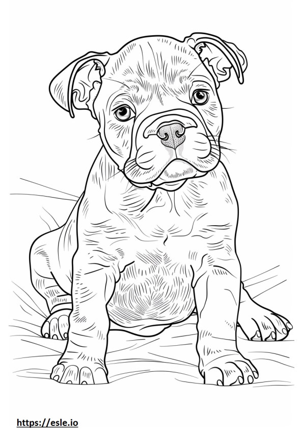 Bebé bulldog americano para colorear e imprimir