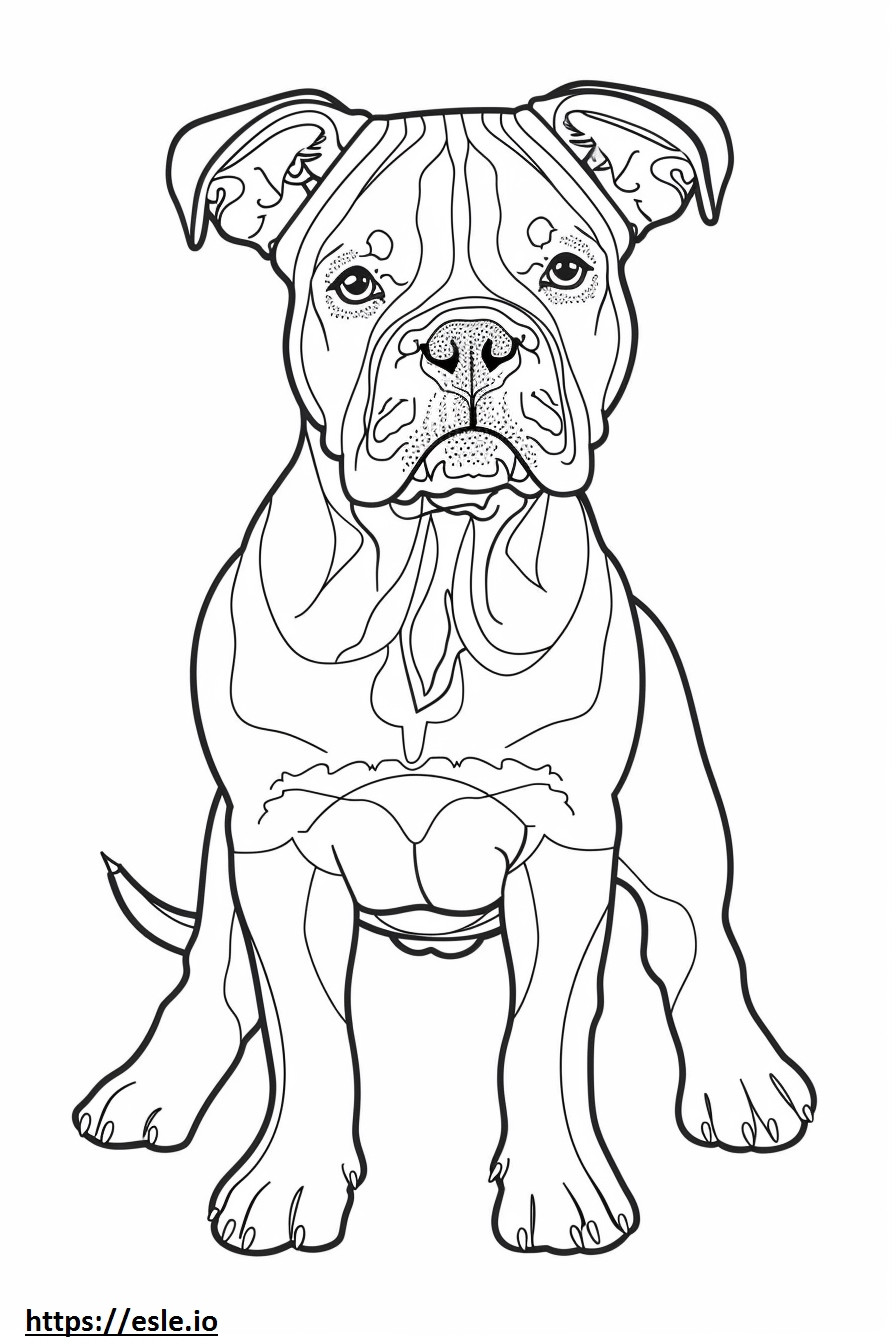 Desenho animado do Bulldog Americano para colorir