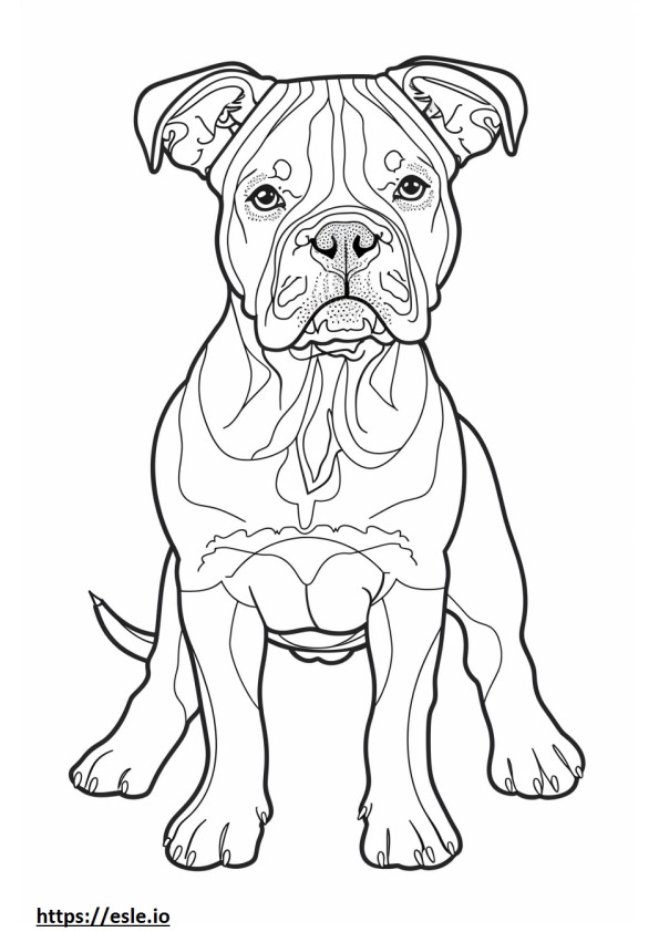 Amerikai bulldog rajzfilm szinező