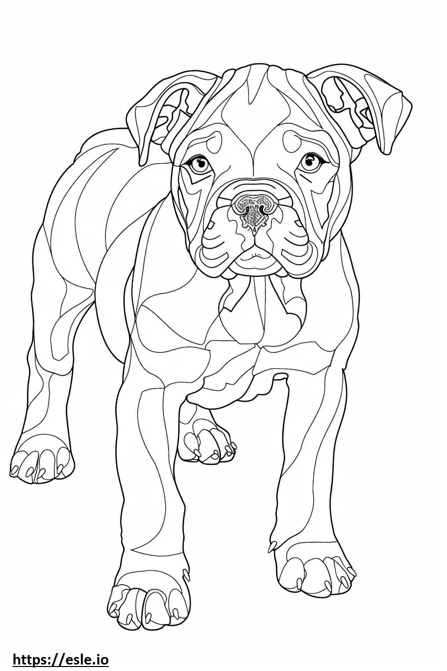 Cartoon der amerikanischen Bulldogge ausmalbild