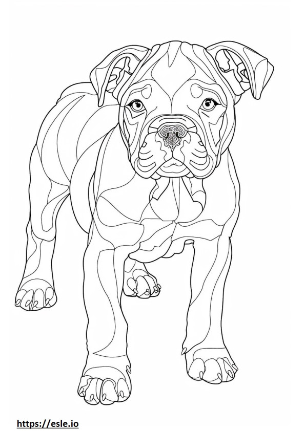 American Bulldog sarjakuva värityskuva