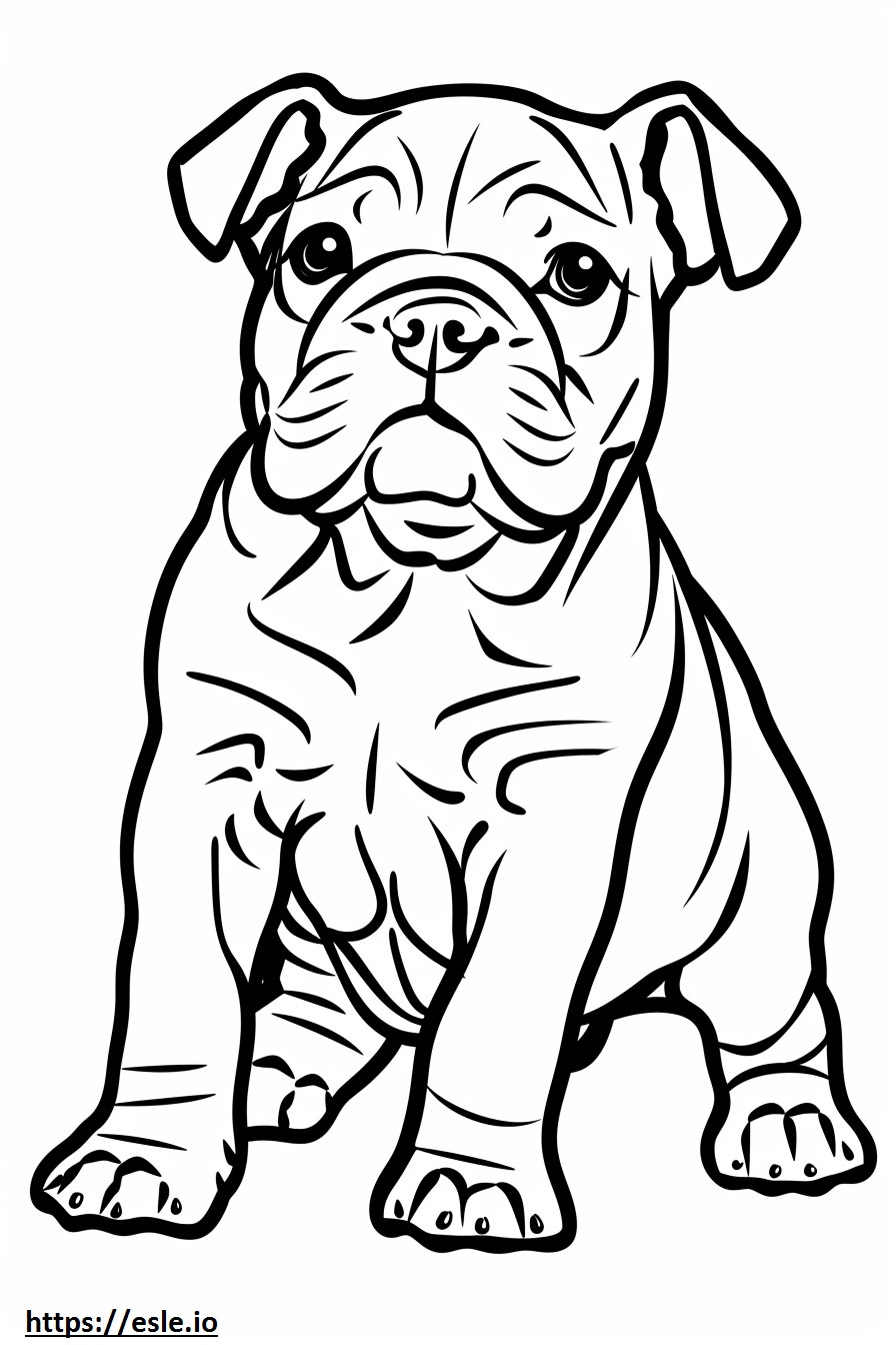 Amerikaanse Bulldog schattig kleurplaat kleurplaat