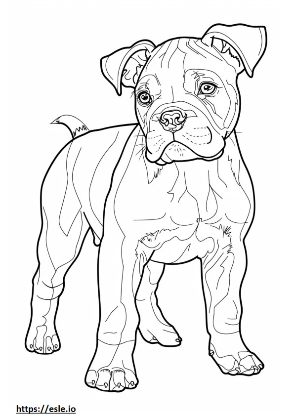 American Bulldog cute coloring page