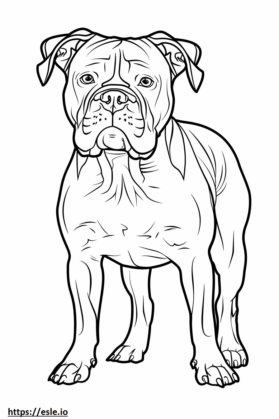 American Bulldog happy coloring page