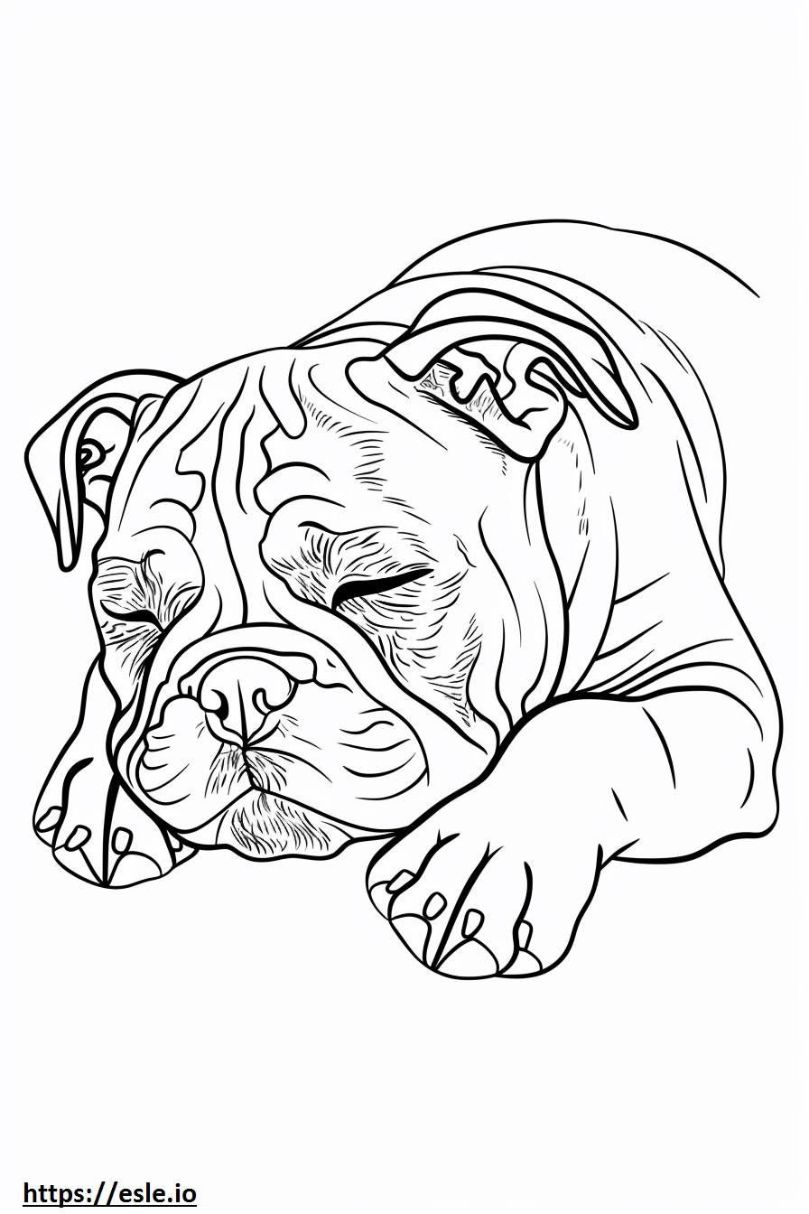 Amerikkalainen bulldoggi nukkuu värityskuva