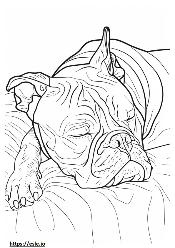 Uyuyan Amerikan Bulldog boyama