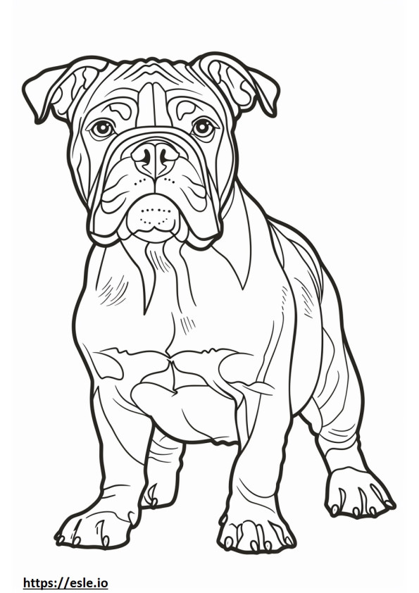 Bulldog Americano Kawaii para colorear e imprimir