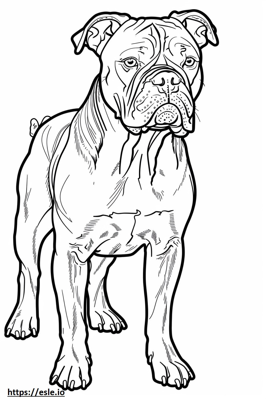 Amerikan Bulldog Kawaii boyama