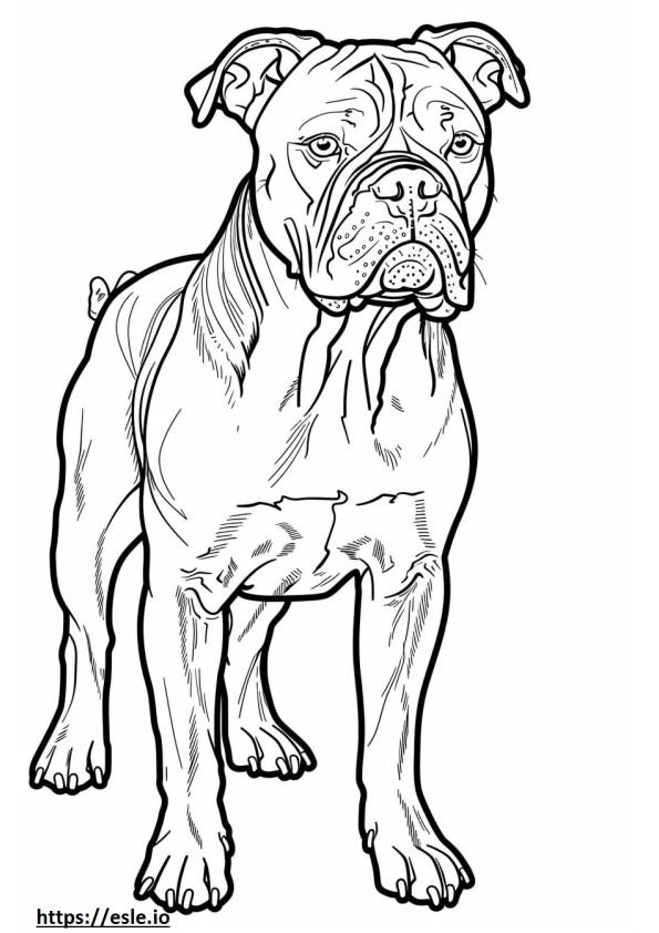 Amerikanische Bulldogge Kawaii ausmalbild