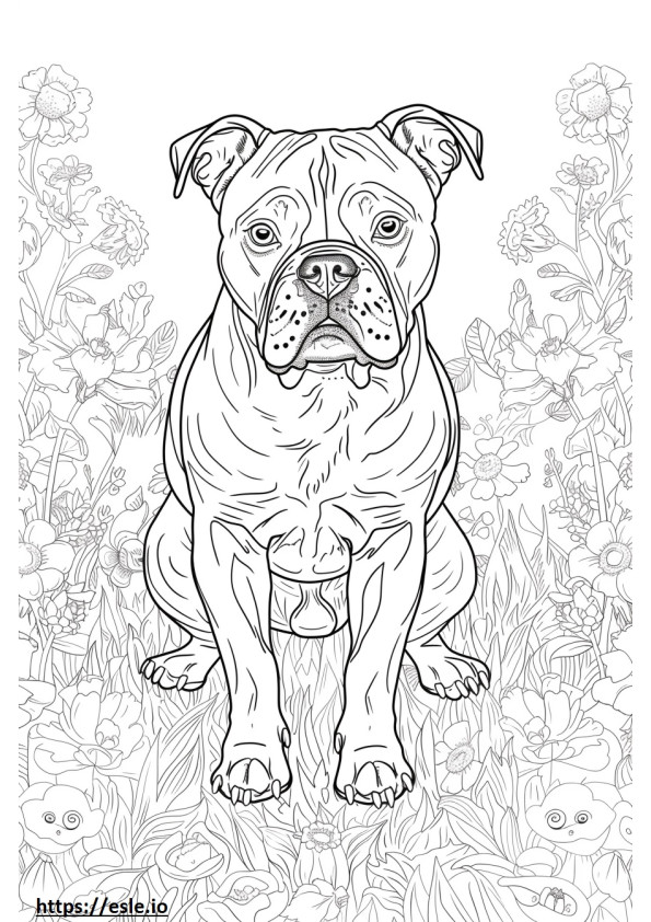 Bulldog Americano Kawaii para colorear e imprimir