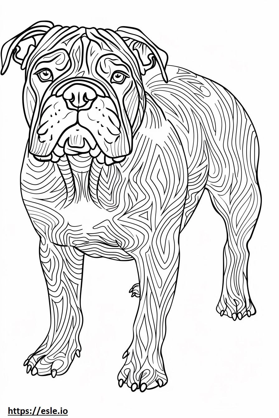 Amerikan Bulldog Dostu boyama