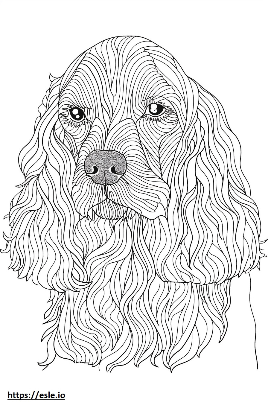 American Cocker Spaniel face coloring page