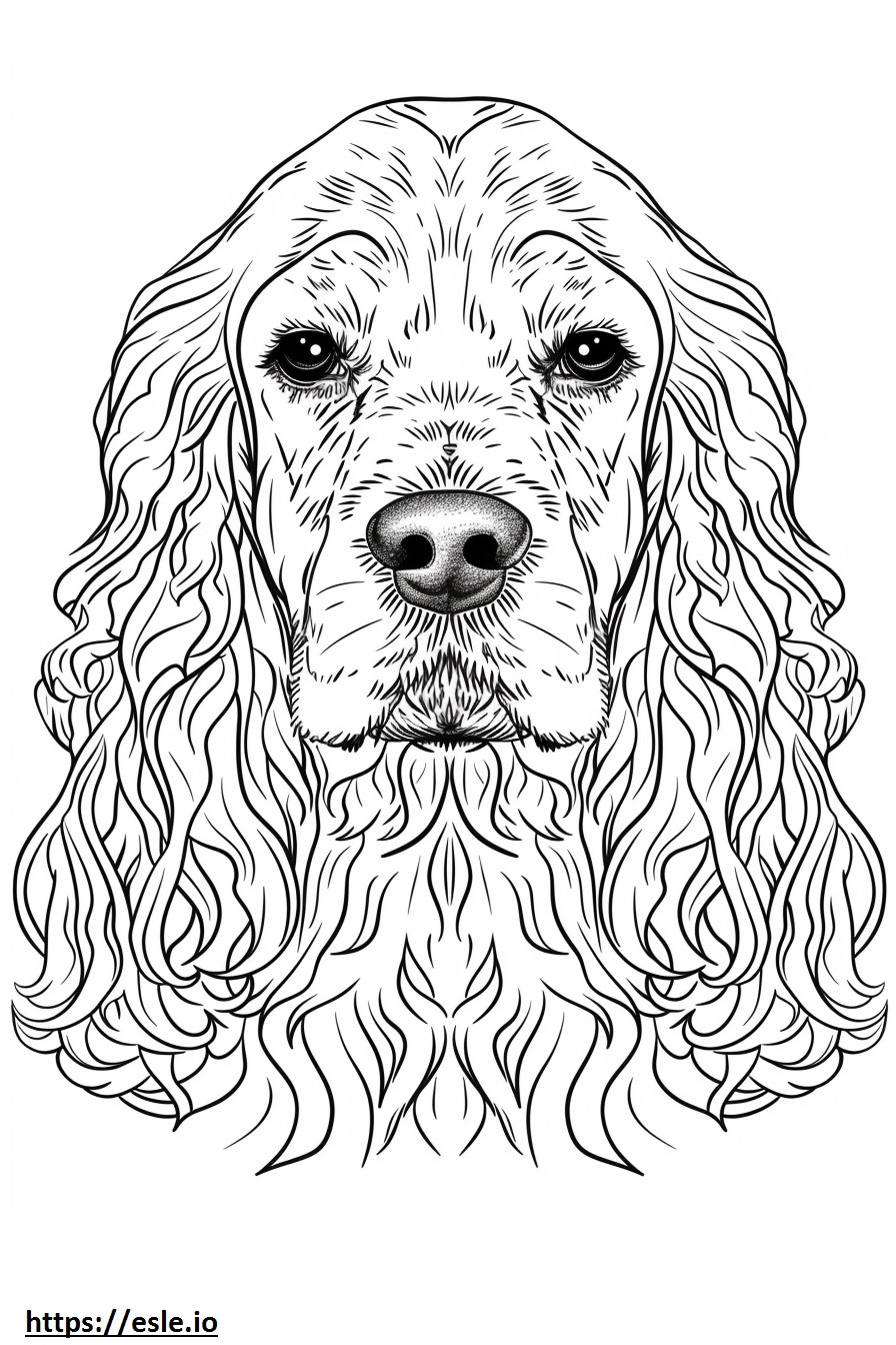 American Cocker Spaniel face coloring page