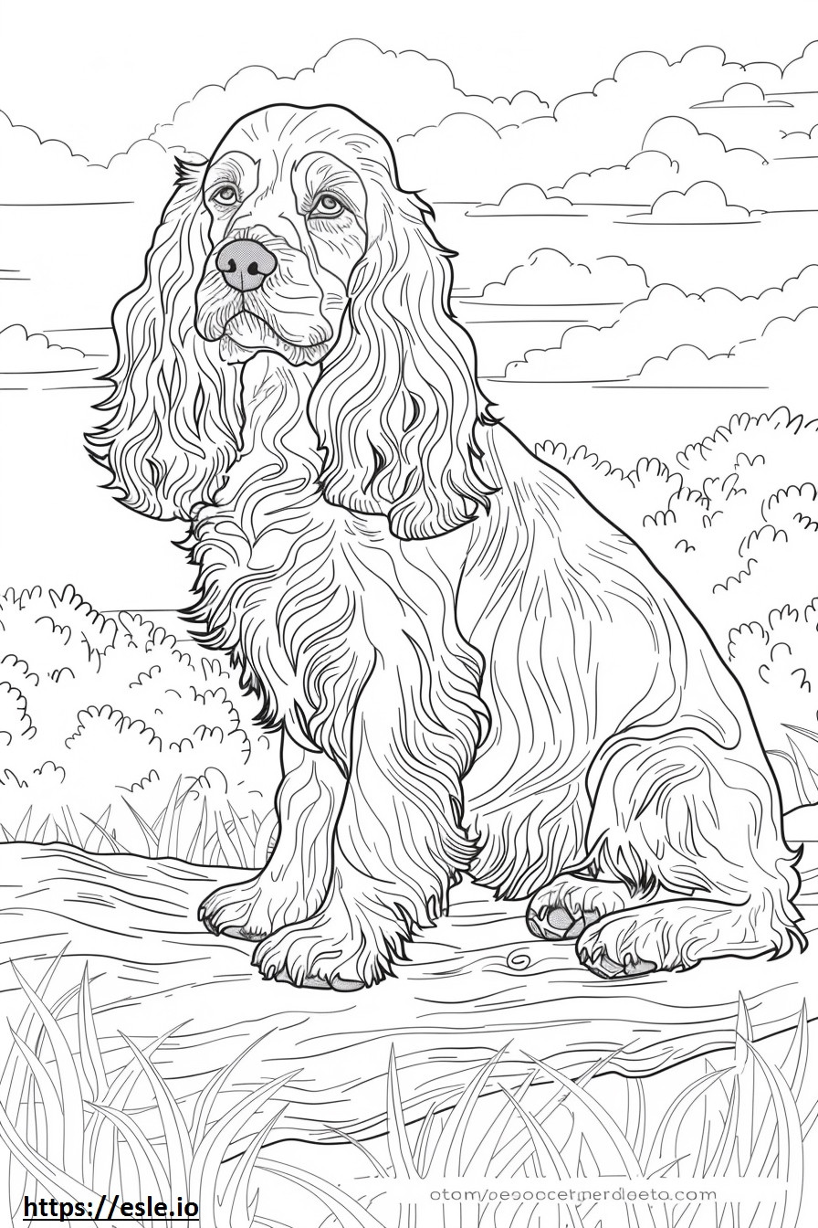American Cocker Spaniel full body coloring page