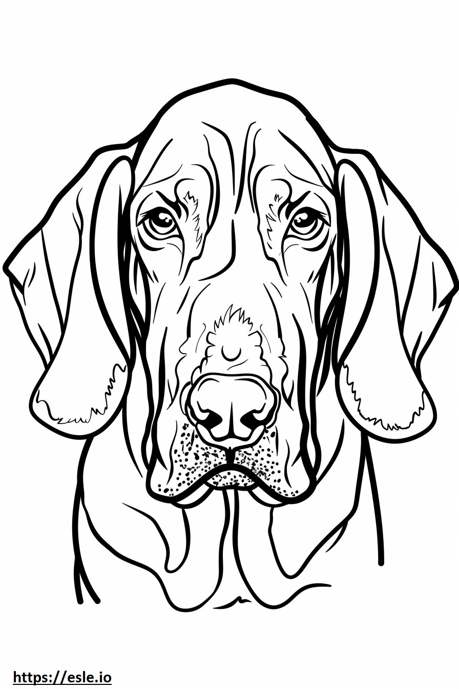 Amerikaans Coonhound-gezicht kleurplaat kleurplaat