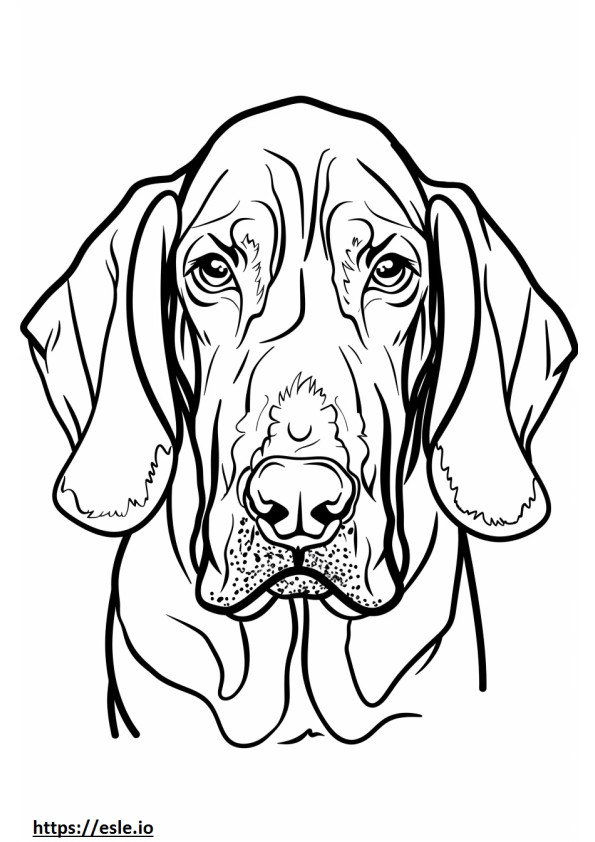 Cara de Coonhound americano para colorear e imprimir