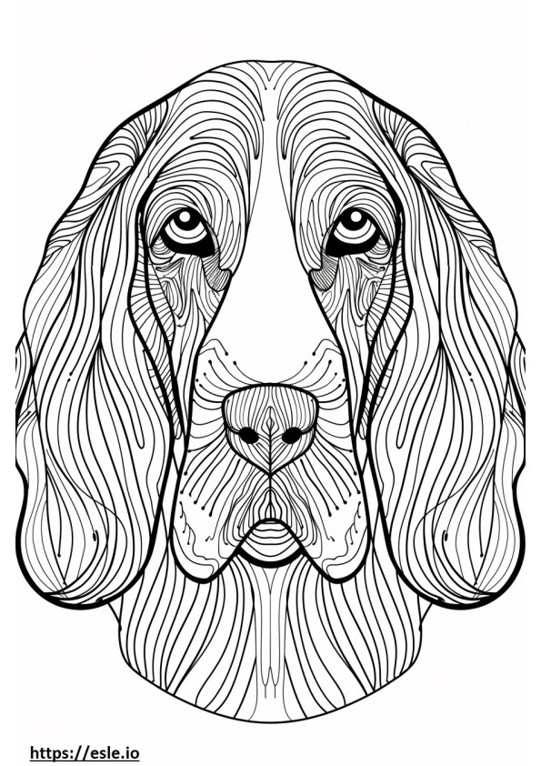 Fața de coonhound american de colorat