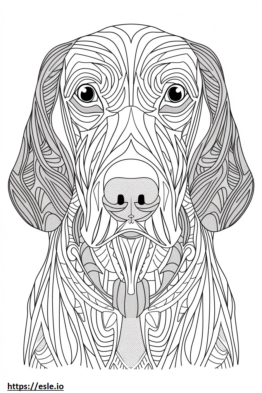 Coloriage Visage de Coonhound américain à imprimer