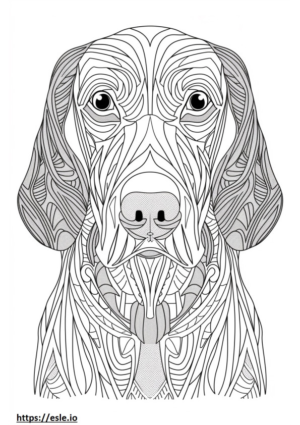 Amerikan coonhoundin kasvot värityskuva