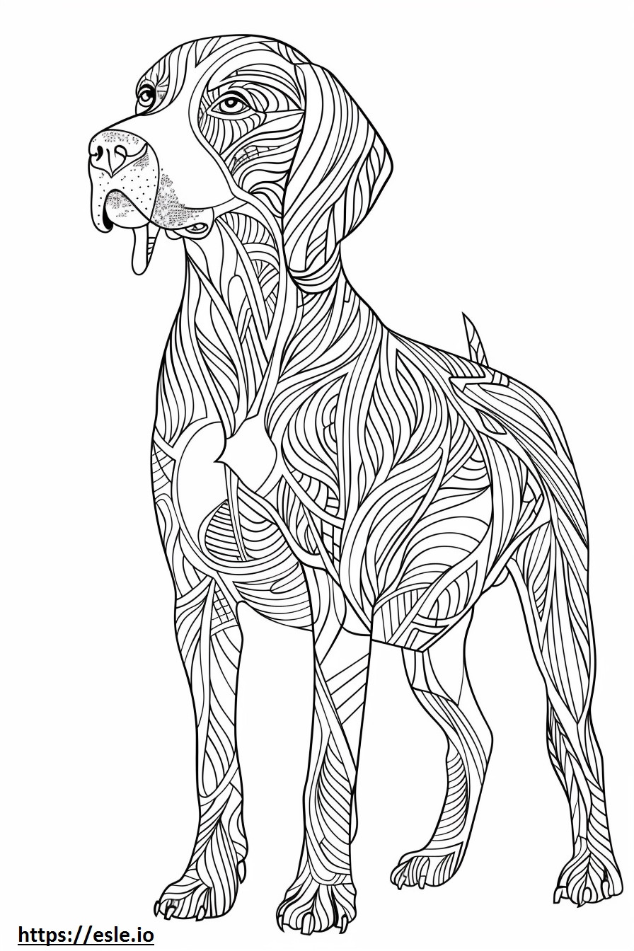 Corpo inteiro do Coonhound americano para colorir