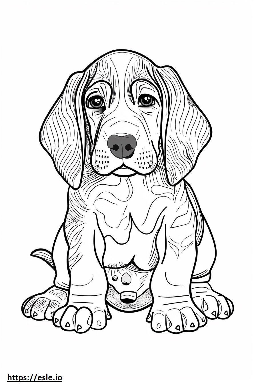Amerikaanse Coonhound-baby kleurplaat kleurplaat