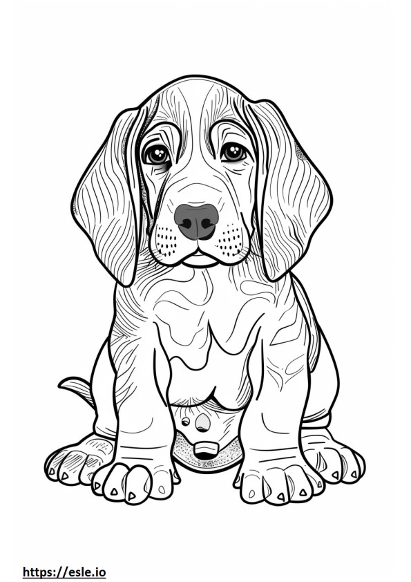 Copilul American Coonhound de colorat
