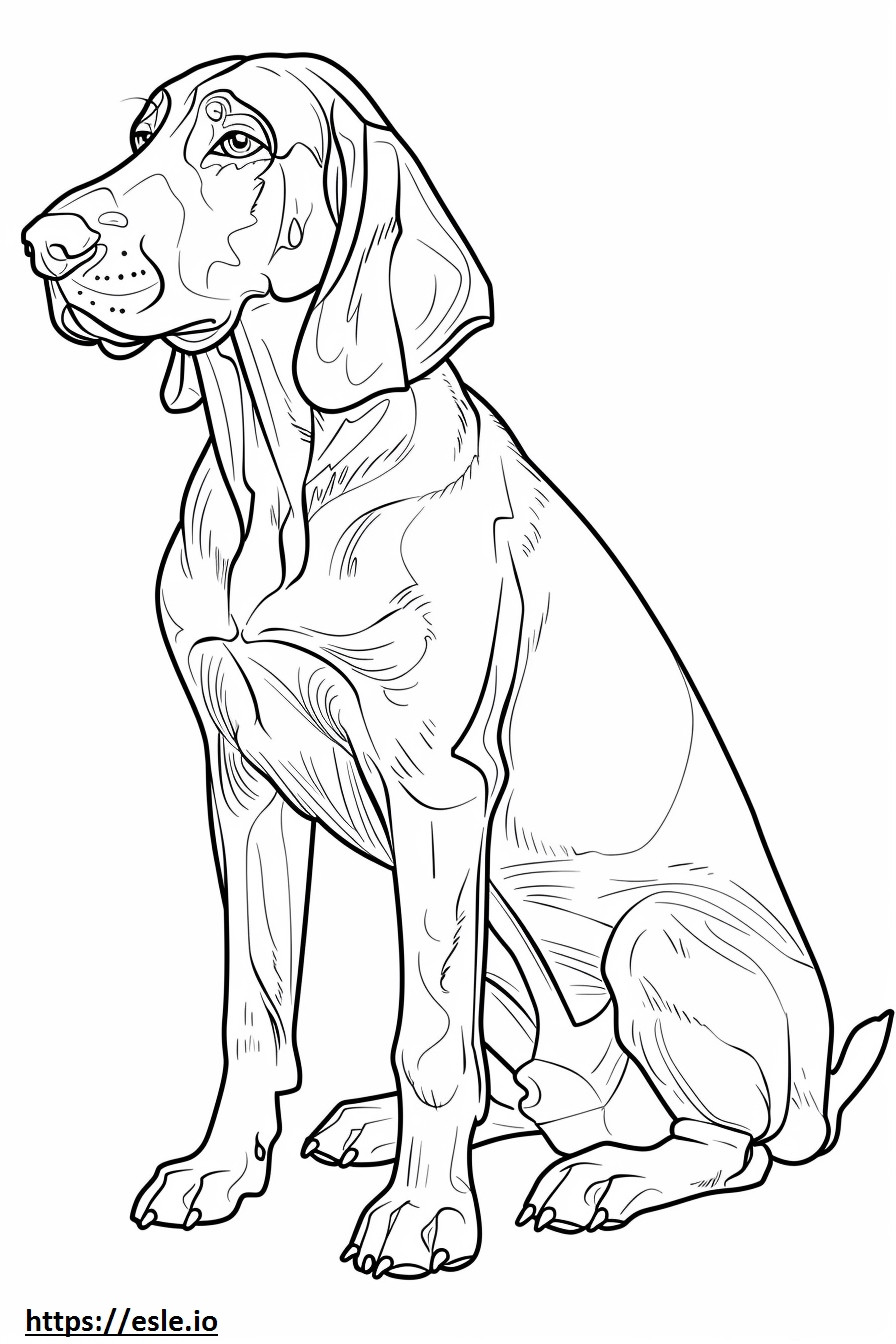 Desenho animado do Coonhound americano para colorir
